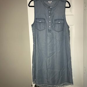 Splendid sleeveless denim dress